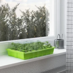 WELLGRO Gewächshaus Inkl. 12 Pflanzschilder - Für Bis Zu 24 Pflanzen - Ca. 38x24x12cm (LxBxH) Je Zimmergewächshaus, Kunststoff- Menge Wählbar, Stückzahl:2 Stück -Günstiges Laube Lust Geschäft 0ca1519a03b7fa5f883e93e7b04d80aa