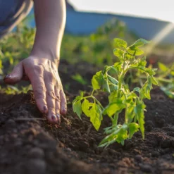 Relaxdays Foliengewächshaus 110x180x150 Cm -Günstiges Laube Lust Geschäft 10b5054de19ab87388143f2ef645c32d