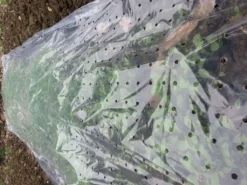 TrendLine Frühbeetfolie 1,5 X 3 M