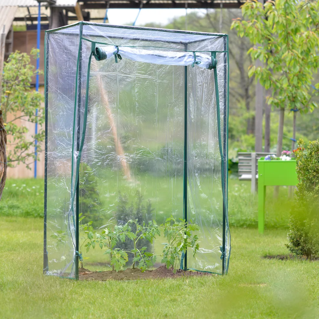 Relaxdays Tomatengewächshaus Für Garten Und Balkon 7 Relaxdays Tomatengewächshaus Für Garten Und Balkon – Bild 5