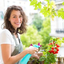 Relaxdays Gewächshaus Folie -Günstiges Laube Lust Geschäft 1838724a2a81bf599849cda735812d47