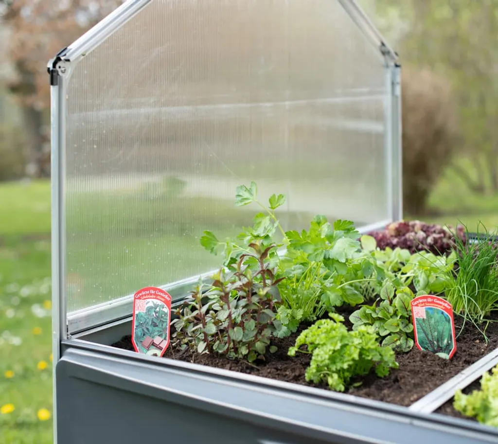 Palram Hochbeet Gewächshaus Plant Inn - Maße Aufgebaut: Ca. 118 X 146,5 X 118 Cm - Farbe: Silber 17 Palram Hochbeet Gewächshaus Plant Inn - Maße Aufgebaut: Ca. 118 X 146,5 X 118 Cm - Farbe: Silber – Bild 15