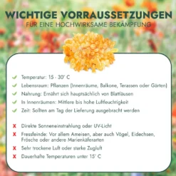 FeldundStall Siebenpunkt Marienkäfer Larven 150 Stk - Nützling Zur Bekämpfung Von Blattläusen 14 FeldundStall Siebenpunkt Marienkäfer Larven 150 Stk - Nützling Zur Bekämpfung Von Blattläusen -Günstiges Laube Lust Geschäft 1c45bc5fcc2d0b772c2ac5ccbe986178