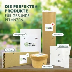 FeldundStall Siebenpunkt Marienkäfer Larven 150 Stk - Nützling Zur Bekämpfung Von Blattläusen 15 FeldundStall Siebenpunkt Marienkäfer Larven 150 Stk - Nützling Zur Bekämpfung Von Blattläusen -Günstiges Laube Lust Geschäft 20462d6d5ffd119d37620393e181c5f7