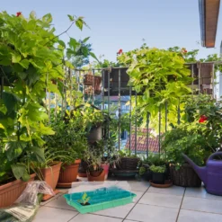 Relaxdays Zimmergewächshaus 24 Fächer -Günstiges Laube Lust Geschäft 2120b5ed6c62e28cb475ccb8afa519d4