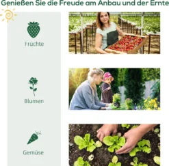 Outsunny Foliengewächshaus Balkon Mit 4 Ablagen Mini Gewächshaus Treibhaus Tomatenhaus Pflanzenhaus Frühbeet Metall Grün 80 X 49 X 160 Cm -Günstiges Laube Lust Geschäft 2c645707cc4b44fdc30fddf83bc93f4d