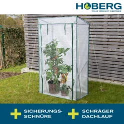Hoberg Folien-Gewächshaus - 100 X 50 X 158/170 Cm Gewächshaus Tomatengewächshaus Treibhaus Frühbeet Folienzelt PE-Folie 140 G/m² 17 Hoberg Folien-Gewächshaus - 100 X 50 X 158/170 Cm Gewächshaus Tomatengewächshaus Treibhaus Frühbeet Folienzelt PE-Folie 140 G/m² -Günstiges Laube Lust Geschäft 342646222824254e87d63f97dc3d2d74