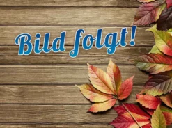 SEVERIN Kompakt-Multigrill KG 2394 800 Watt Grau / Schwarz -Günstiges Laube Lust Geschäft 35b0a02b0c76f4eca95d177deb989d03