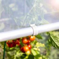 Tomatenhaus Aus Aluminium, Höhe:170 Cm, Breite:150 Cm, Länge:80 Cm -Günstiges Laube Lust Geschäft 3788183c00f4b9bdd496509207b89c83