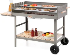 Tepro Schwenkgrill "Cary", Grillfläche 46,5 Cm -Günstiges Laube Lust Geschäft 3bb645efc2a824b38f3da681c2e965a4