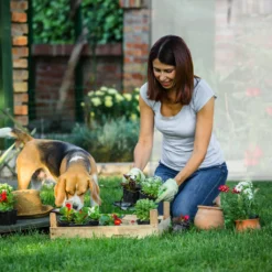 Relaxdays Tomatengewächshaus XL Mit Runddach -Günstiges Laube Lust Geschäft 3d1b3e402013f04422a38e132d1f3a50