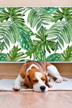 Magnet Heizung Verkleidung Abdeckung Heizung Heizkörperabdeckung 90x60 Cm - Dschungel -Günstiges Laube Lust Geschäft 3dedeb9a9bd8e7b94179aa5bb2fe4250