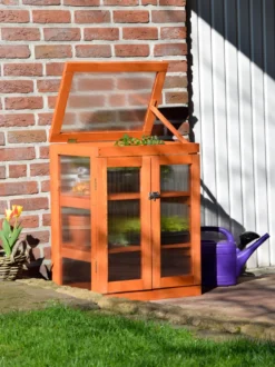 Dobar Mini-Gewächshaus Mit Polycarbonat, Balkon Und Indoor-Treibhaus, Holz, 58 X 43 X 76 Cm, Braun -Günstiges Laube Lust Geschäft 3e0a8c6f9ba7dca48af9c7d34c56e70e