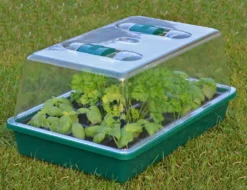 HI Mini-Gewächshaus 38x24,5x18 Cm Transparent -Günstiges Laube Lust Geschäft 3fcfb251ceb0b2e3a2fe92b413dfe698