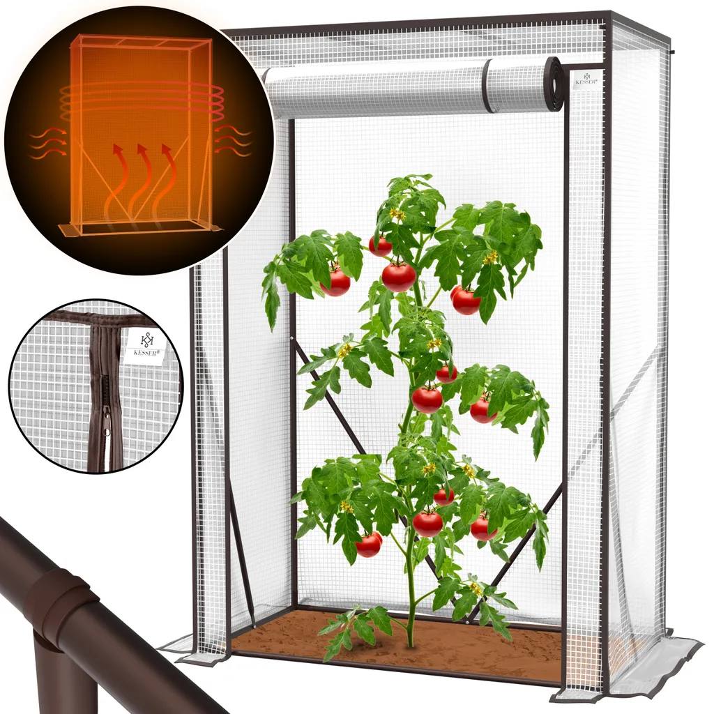 KESSER® Premium Tomatengewächshaus Foliengewächshaus, Gewächshaus Klein, Tomatenhaus, Treibhaus Mit Tür Zum Aufrollen - 100 X 50 X 150 Cm Frühbeet, Gemüse, Blumen, Obst, Garten, Farbe:Transparent, Größe:100 X 50 X 150 Cm 4 KESSER® Premium Tomatengewächshaus Foliengewächshaus, Gewächshaus Klein, Tomatenhaus, Treibhaus Mit Tür Zum Aufrollen - 100 X 50 X 150 Cm Frühbeet, Gemüse, Blumen, Obst, Garten, Farbe:Transparent, Größe:100 X 50 X 150 Cm – Bild 2