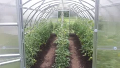 Gewächshaus BALTIC LT 3x8m (L X B) Mit 6 Mm Polycarbonat. -Günstiges Laube Lust Geschäft 4fc9b9e49bac1be74d195a8a15e53ec2 1