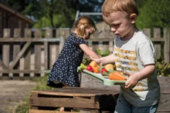 Dantoy Green Garden Mini Gewächshaus 19 Dantoy Green Garden Mini Gewächshaus -Günstiges Laube Lust Geschäft 4fe957f58b603c46332f58f8ace55c80