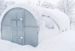 Gewächshaus KLASIKA 18 (3x6m) Mit Fundamenten Und 6mm Polycarbonat; -Günstiges Laube Lust Geschäft 54bc0b4881d94837207d65bcb64381f8 2