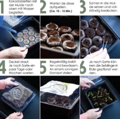 HappySeed Gewächshaus Mit 12 Kokos Quelltabletten - Zur Vorkultivierung Und Anzucht Von Kräutern, Gemüse Und Blumen -Günstiges Laube Lust Geschäft 606af2ae8b442d1f046634926e3cbafa