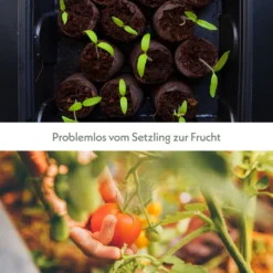 HappySeed Gewächshaus Mit 12 Kokos Quelltabletten - Zur Vorkultivierung Und Anzucht Von Kräutern, Gemüse Und Blumen -Günstiges Laube Lust Geschäft 63eebadfa3ce90196f9a19de8396fc08