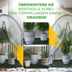 Biogreen Überwinterungszelt Icedome 120 X 120 X 183 Cm -Günstiges Laube Lust Geschäft 6c60ff13f2c2ade31a11c876654306e9