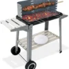Grillwagen Holzkohlegrill BBQ Grill Inkl. Räder Ablagen Grillspieß Windschutz Garten Terrasse Campingrill Fahrbar
