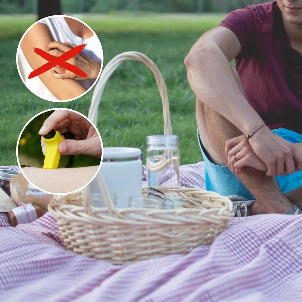 3 Mückenstich-Klicker 7 3 Mückenstich-Klicker – Bild 5