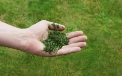 Einhell Benzin-Rasenmäher GC-PM 51/3 S HW 18 Einhell Benzin-Rasenmäher GC-PM 51/3 S HW -Günstiges Laube Lust Geschäft 7ce734cbbe6dee1c50e178cb275877eb