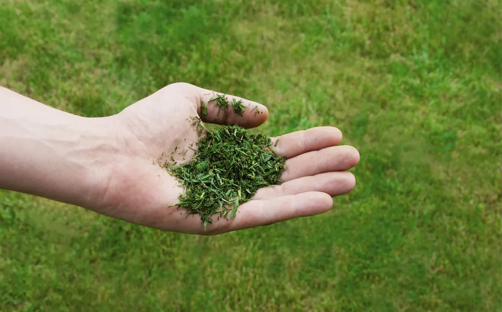 Einhell Benzin-Rasenmäher GC-PM 51/3 S HW 7 Einhell Benzin-Rasenmäher GC-PM 51/3 S HW – Bild 5