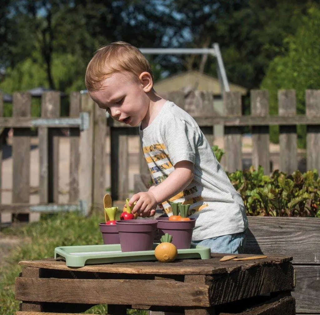 Dantoy Green Garden Mini Gewächshaus 11 Dantoy Green Garden Mini Gewächshaus – Bild 9