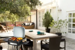 MEDION Elektrogrill (Standgrill, Tischgrill, Grillwagen, Für Balkon Garten Camping, Mit Deckel, 2 Seitentische, 2000 Watt, Antihaftbeschichtung, Rollen, Fettauffangschale, MD10864) -Günstiges Laube Lust Geschäft 8550ec997b8cc229f5372e614204672d