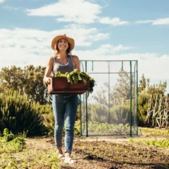 Relaxdays Tomatengewächshaus Mit PVC-Folie -Günstiges Laube Lust Geschäft 89f11d9e1eae6ee4444a0ca09d0d3a58