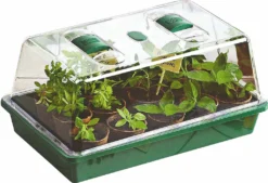 Mini Gewächshaus 38x24x18 Cm
