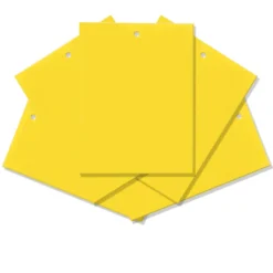 Mumbi 20x Gelbtafeln Gelbsticker Gelbfalle Insektenfalle Trauermücken Blattlaus Falle Insektenschutz 15 X 20 Cm -Günstiges Laube Lust Geschäft 91d5a67643b7e46886252dbb4c5f1b90