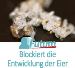 FUTUM 2x5L Motten Spray Motten Mittel Gegen Motten Larven Bekämpfen Abwehr -Günstiges Laube Lust Geschäft 928c480a624290deeb9af3072d8e5a1d