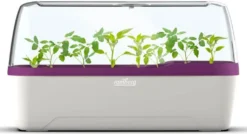 Romberg Bo Qube L Plus Gewächshaus Weiss/Pflaume 41x17x23 Cm -Günstiges Laube Lust Geschäft 99c4009ac8ae621b9d5ac2607a21ca3d