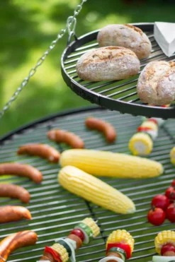 CookKing 22451 Schwenkgrill 200cm - Doppelrost Aus Rohstahl 80cm + 40cm -Günstiges Laube Lust Geschäft a561412e271078ee014b743662823eed