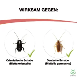 Pestmatic Smart Spray Gegen Schaben Und Kakerlaken 500 Ml, Insektizid In Sprayflasche Für Laufende Insekten, Gebrauchsfertig, Einfache Anwendung Langanhaltender Schutz Schnelle Wirkung -Günstiges Laube Lust Geschäft a5da10c308f27f98604101ae2992c0d8