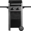 BUSCHBECK Elektrogrill Grenada 2-Brenner 2 BUSCHBECK Elektrogrill Grenada 2-Brenner -Günstiges Laube Lust Geschäft aa3d38f530c7f09850f830fbd5feee67