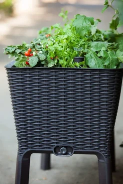 Keter Garten-Blumentopf "Easy Growing" 120 L 229098 15 Keter Garten-Blumentopf "Easy Growing" 120 L 229098 -Günstiges Laube Lust Geschäft b601cd267a2acef632dd624298a44be3