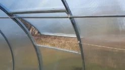 Gewächshaus - Treibhaus PROFI ZEUS 4m - TERMO - 4 X 6m - 6 Mm POLYCARBONAT + 1 X Dachfenster + 1 X Fensteröffner + Versand -Günstiges Laube Lust Geschäft b6875ab9ca6a430fd56769e0ab42b63b