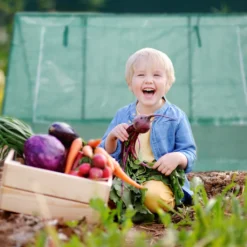 Relaxdays Foliengewächshaus 110x180x150 Cm -Günstiges Laube Lust Geschäft bb54dc19d55b8874c7cce400fb5ad75a