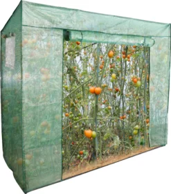 Jiubiaz Foliengewächshaus Gewächshäuser Treibhaus Tomatenhaus Pflanzenhaus Grün 200*80*170CM