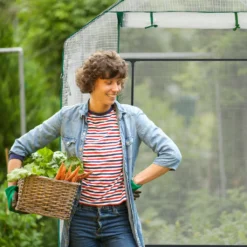 Relaxdays Begehbares Gewächshaus Mit 4 Fenstern 14 Relaxdays Begehbares Gewächshaus Mit 4 Fenstern -Günstiges Laube Lust Geschäft bd85c6fbfd8baf6d4b8a3ea359641bc9