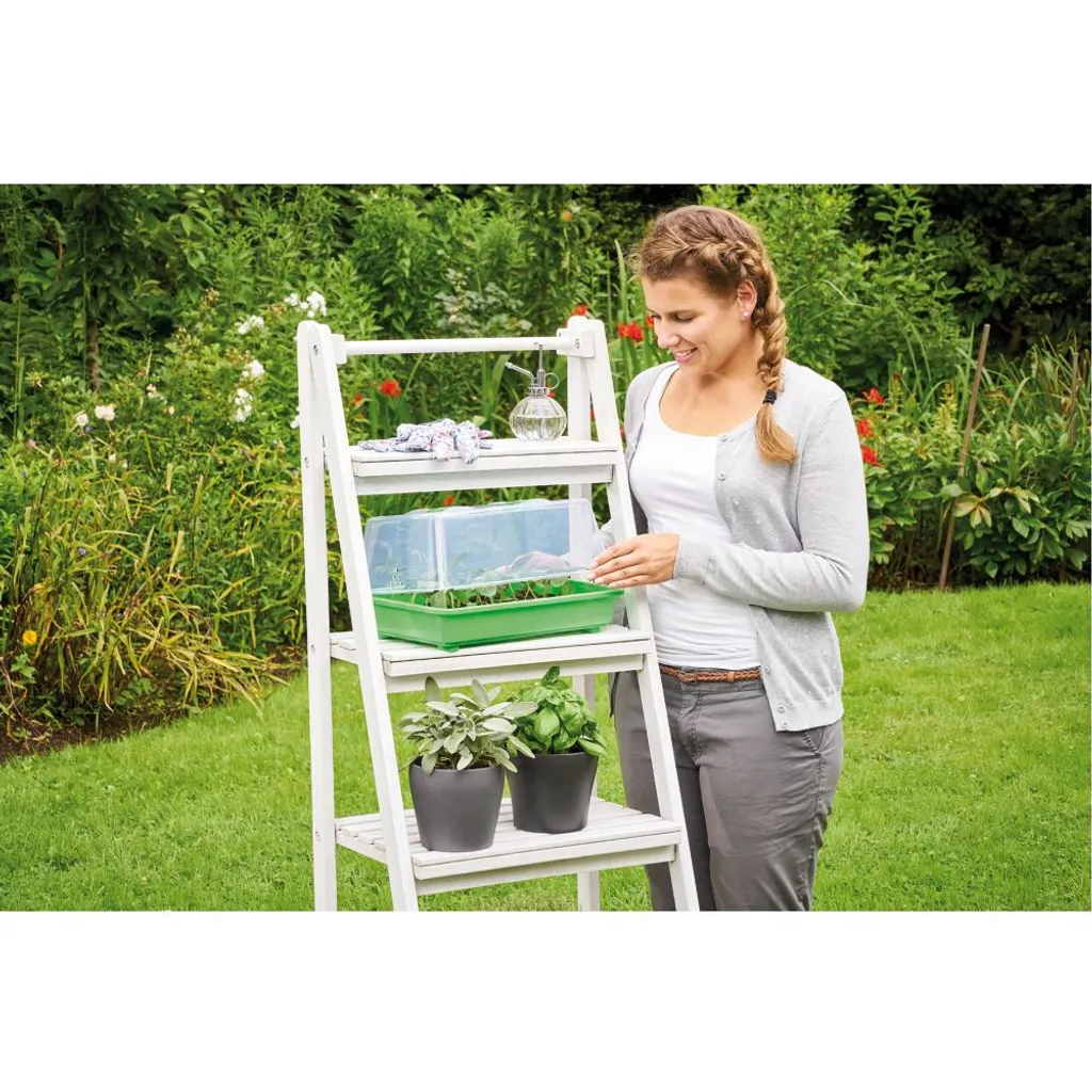 Romberg Gewächshaus M 38 X 24 X 19 Cm Mit Belüftung, Sehr Stabil 6 Romberg Gewächshaus M 38 X 24 X 19 Cm Mit Belüftung, Sehr Stabil – Bild 4