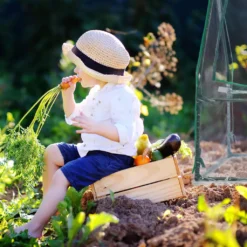 Relaxdays Folienfrühbeet PVC Mit 3 Türen -Günstiges Laube Lust Geschäft cb021150cd903b9c1bdca1dff28cadbb