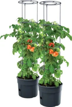 2x Tomatenpflanze Pflanzkübel Pflanzen Tomate 28L Garten Terrasse PAFEN