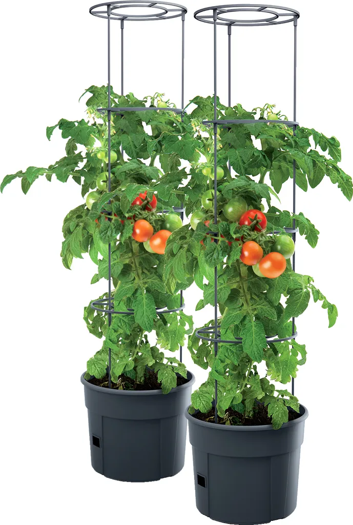2x Tomatenpflanze Pflanzkübel Pflanzen Tomate 28L Garten Terrasse PAFEN 3 2x Tomatenpflanze Pflanzkübel Pflanzen Tomate 28L Garten Terrasse PAFEN