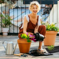 Relaxdays Anzuchtkasten 3er Set Je 50 Fächer -Günstiges Laube Lust Geschäft d30778da519b5c6b9869a8df736e6533