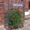 Garden Pleasure Tomaten Gewächshaus 150x100 Cm Folienzelt 2 Garden Pleasure Tomaten Gewächshaus 150x100 Cm Folienzelt -Günstiges Laube Lust Geschäft d94987b12fd4a0ae0c8140aee637c0d3